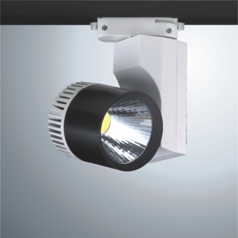 MHD103-COB-20W